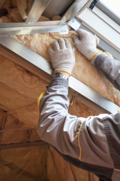 Best Insulation Maintenance and Repair in Peosta, IA