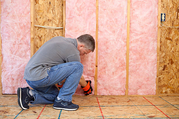 Best Eco-Friendly Insulation in Peosta, IA