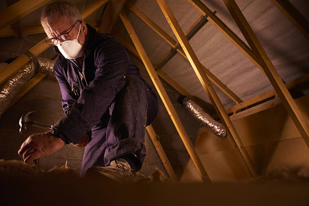 Best Commercial Insulation in Peosta, IA